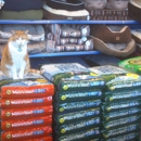 Pets Are People Too - Pet Services