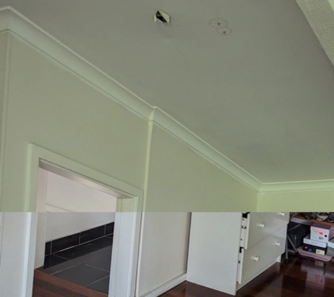 The Roofing Professionals Westside - Homebush West, NSW