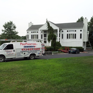 Pro Painters & Gutters LLC - Kinnelon, NJ