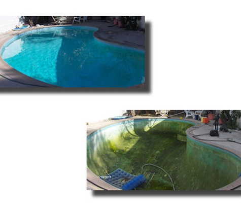 Pool Masters Service - Las Vegas, NV