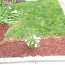 Gees Lawn Service - Lawn Maintenance