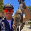 Simply Rodents gallery