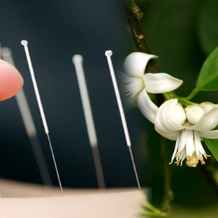 Jason Acupuncture Clinic - Jacksonville, FL