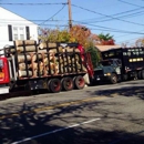 Francisco's Tree Service - Tree Service