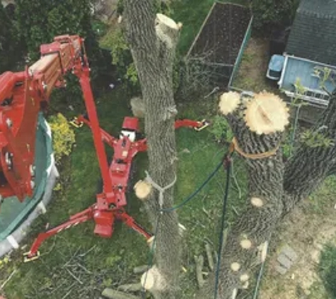 Midwest Tree Service - Homewood, IL