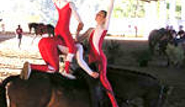 National Equestrian Centre Kerrabee