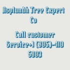 Asplundh Tree Expert Co