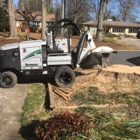 Southern Stump Removal