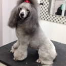 Planet Poochie Pet Grooming - Pet Grooming