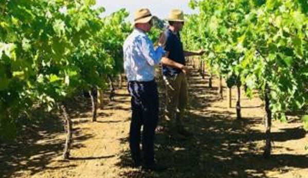 Penrod Ricard Winemakers - Barangaroo, NSW