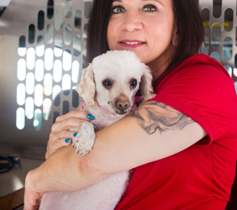 Elite Veterinary Care - Marina Del Rey, CA