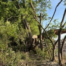 Victory One Tree Service & Stump Grinding