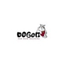 DogON Paw Wow Training