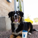 Dutch Bros Coffee - Beverages