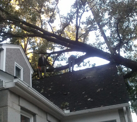 Affordable Carolina Tree Service - Gaston, SC