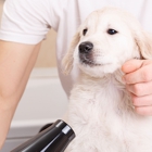 Dipity Do Dog Pet Grooming Salon