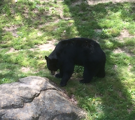 Wnc Nature Ctr - Asheville, NC