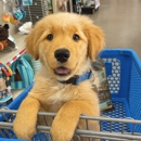 Petsense by Tractor Supply - Pet Stores