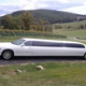 Atlas Limousine and Sedan Service Inc.