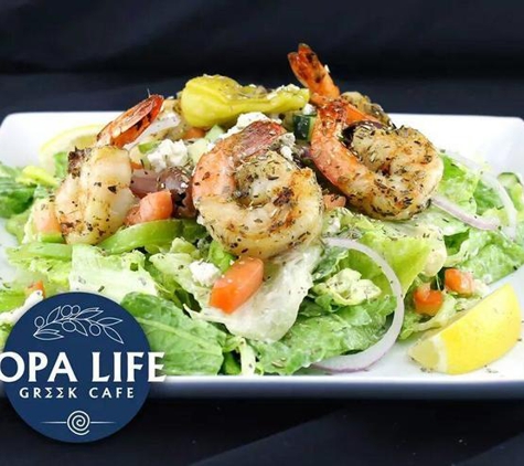 Opa Life Greek Cafe - Tempe, AZ