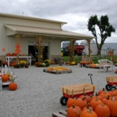 Gail's Pumpkin Patch - Farms