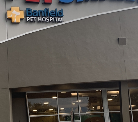 Banfield Pet Hospital - Brandon, FL