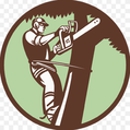 Palm Harbor Tree Pros - Tree Service