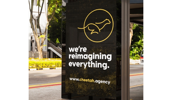 Cheetah Agency - Washington, DC