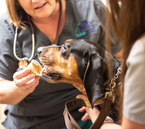 TotalBond Veterinary Hospital at Bethel - Lake Wylie, SC