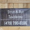 Strut-N-Rut Taxidermy gallery