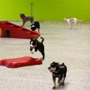 Animal Activity Center, Inc. - Pet Boarding & Kennels