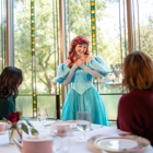 Disney Princess Breakfast Adventures