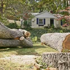 Express Tree Service