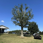 Smith Tree Service