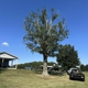 Smith Tree Service