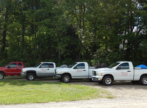 Strikeforce Pest Prevention/Elimination LLC - Meadows Of Dan, VA