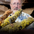 The Reptile Man