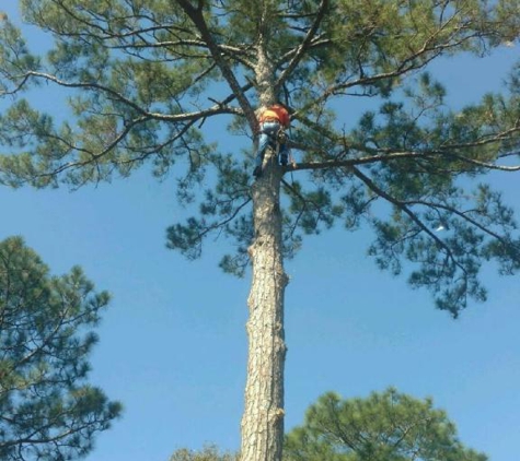 L & L Tree Service - Jacksonville, NC