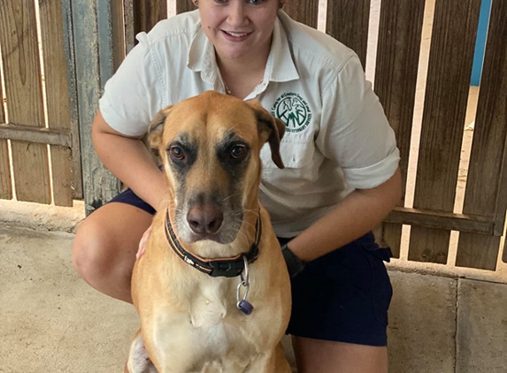 Kuranda Veterinary Surgery