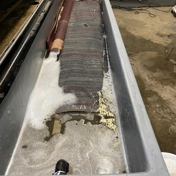 Gallery Image Number 8
