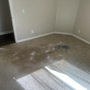 Vital Clean Carpet Cleaning