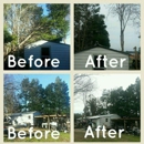 Davenport Tree Service,LLC - Tree Service