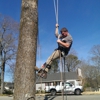 Brasher Brothers Tree Service gallery