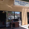 Hair of the Dog gallery