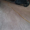 Carpet Cleaning Genius gallery