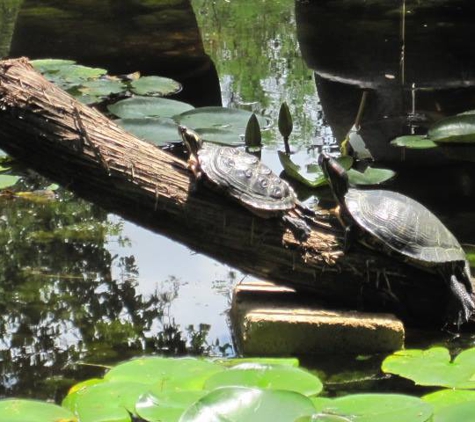 Barton Springs Nursery - West Lake Hills, TX