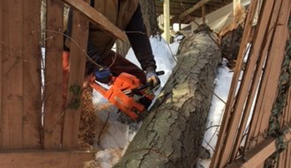 White Oak Tree and Landscape - North Haven, CT. Storm Damage Tree Service