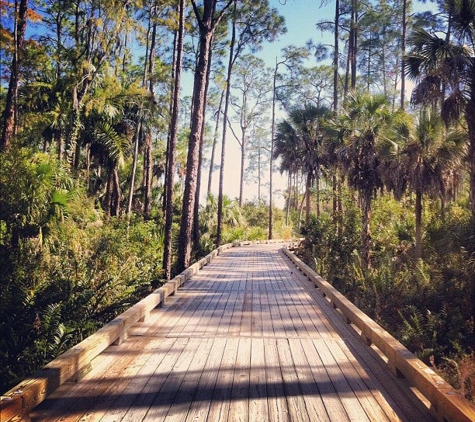 TPC Treviso Bay - Naples, FL