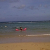 Hanauma Bay Snorkeling Excursions & Shuttle gallery