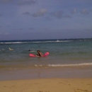 Hanauma Bay Snorkeling Excursions & Shuttle - Diving Excursions & Charters